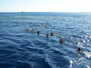 CrocieraSharm-Greta2005_07.jpg